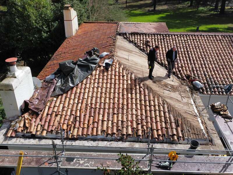 dji_fly_20230313_131106_17_1678987571836_photo_optimized