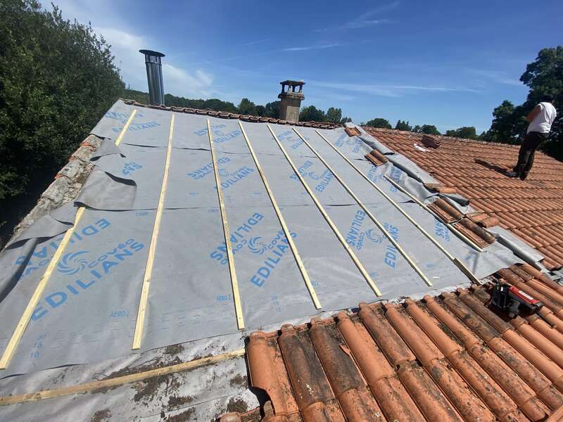 11f13bc8-0c83-43fd-b1e9-548bac02e69c