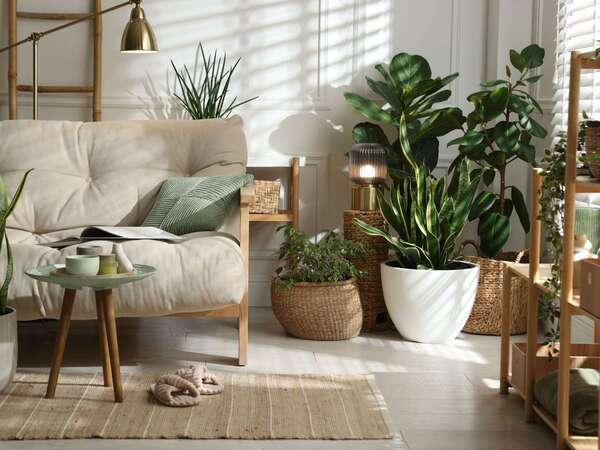 Décoration d'intérieur avec le Feng Shui