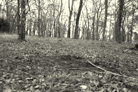 Mort de Karim K: Aucune période de sûreté prononcée contre Ali B. - Cour d'assises du Loiret 