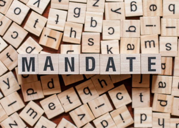 mandat_conception_kinesiologie_maman_enfant