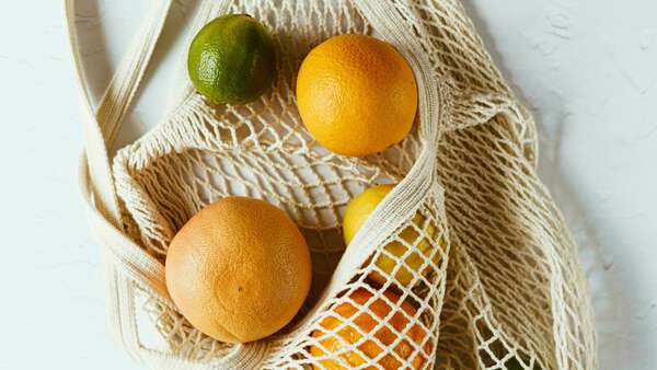 L'Éco-Tourisme : Un Guide Pratique par M&Services Conciergerie !