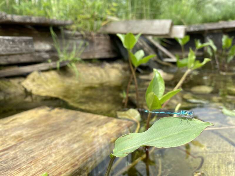 olivier_barret_bio_energeticien_3