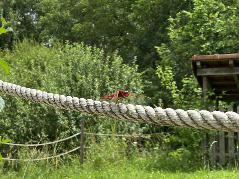 olivier_barret_bio_energeticien_5