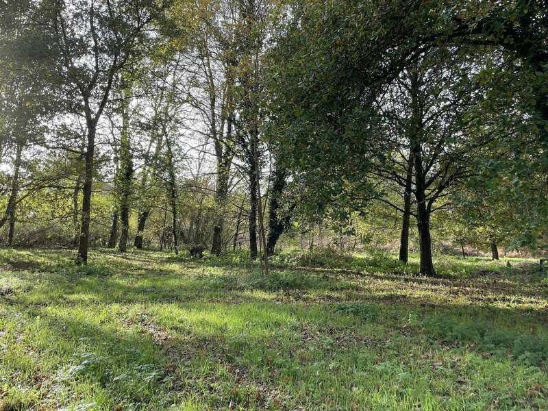 olivier_barret_bio_energeticien_recouvrement_d_ame_3-1