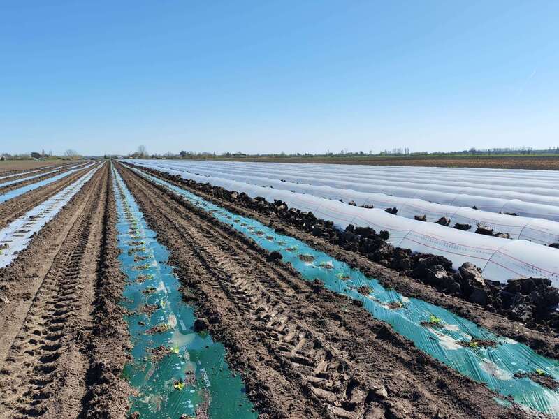 04d08dc5-e07e-45fb-894f-b7619efe4ba2__1_