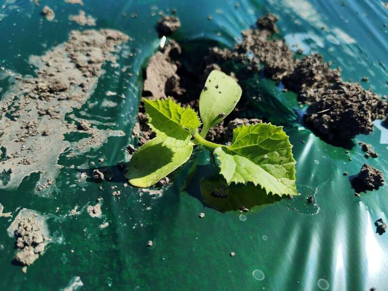 1c1ab590-c48b-48bc-abc0-ae91688d71cd__1_