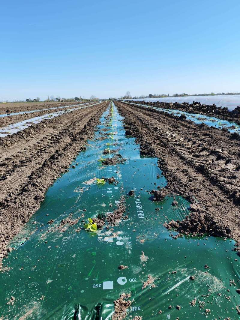 27bdc6d0-22fd-4fc2-8447-033043e53c79__1_