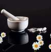 Mortier avec pilon poudre blanche pilules et fleurs de marguerite illustrant la naturopathie