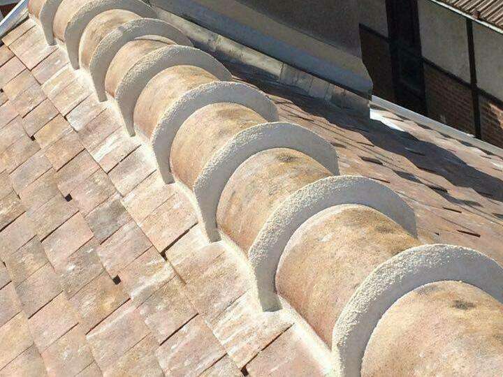 15134386_10210749142746330_251997391_n