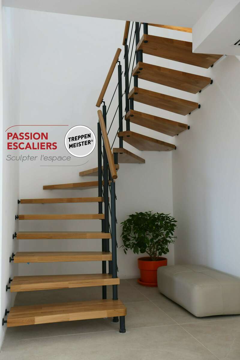 pochintesta_-_epura_2-4t_-_chene_lca_-_metal_7016_-_gc_ht__1_