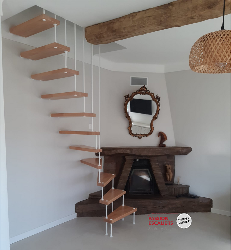 scrofani_-_tt_suspendu_-_thermolaquage_blanc__1_