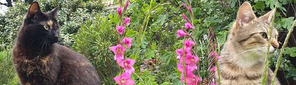 Communiquer de manière authentique est possible . Partie 3/6