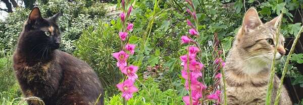 Communiquer de manière authentique est-possible? Partie 1/6