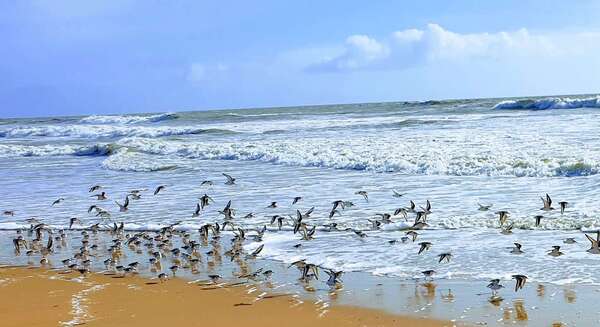 Peur du conflit au travail : pourquoi l’éviter aggrave souvent la situation