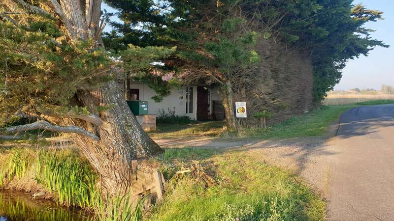 Psychothérapies à Saint-Jean-de-Monts