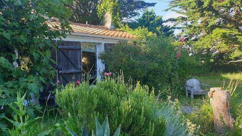 Psychothérapies à Saint-Jean-de-Monts