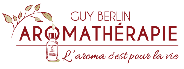 Logo Guy Berlin
