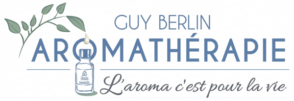 Logo Guy Berlin