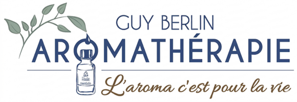 Logo Guy Berlin Logo Guy Berlin