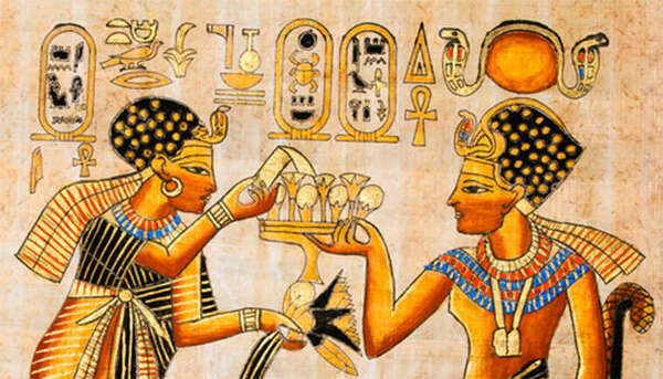 D'où viennent les huiles essentielles ?