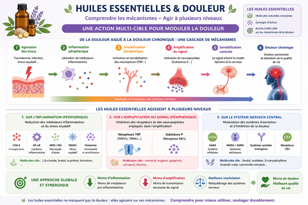 Douleur : les médiateurs biochimiques et l’action des huiles essentielles