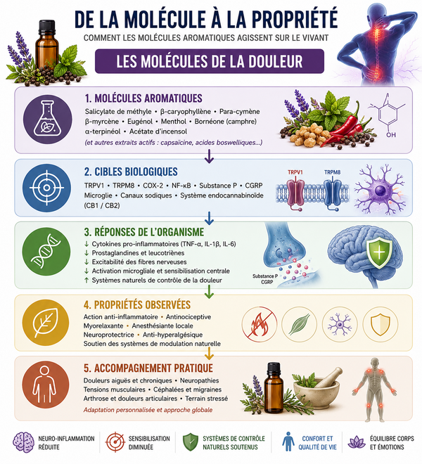 De la molécule à la propriété : les molécules de la douleur