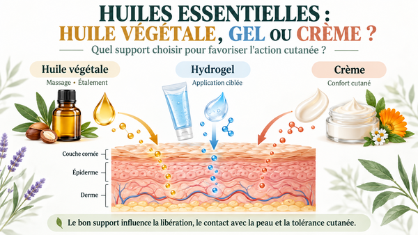 Huiles essentielles : huile végétale, gel ou crème, quel support choisir pour favoriser leur action cutanée ?