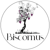 Biscornus la Cave