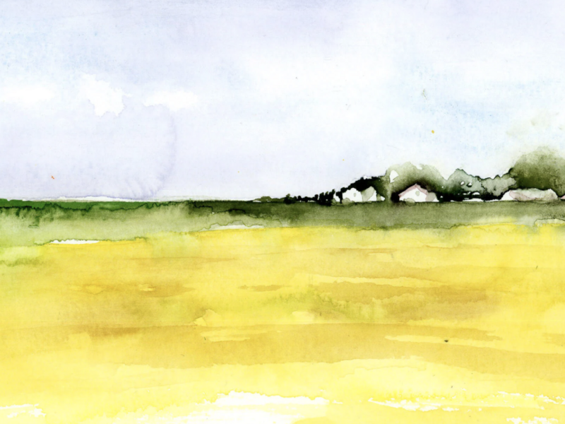 capture_d_ecran_2026-02-21_a_19-36-42