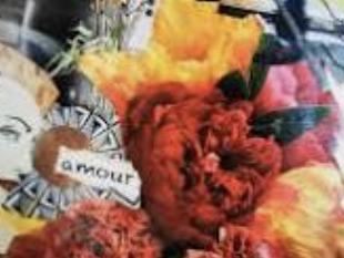 capture_d_ecran_2026-03-14_a_17-37-32