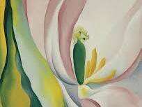 images__2_