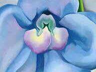 images__1_