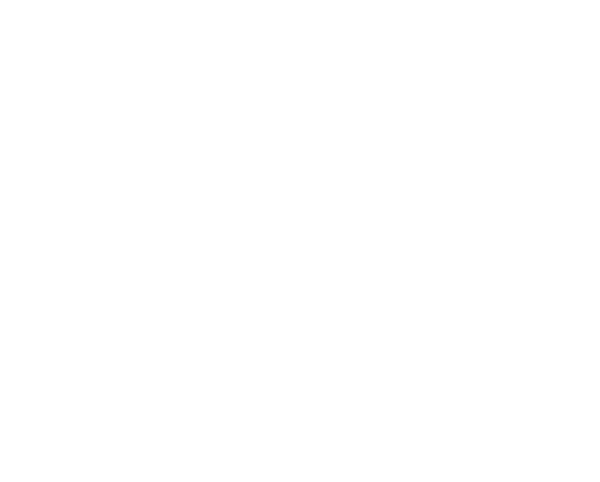 Logo EMMANUEL FERRAS