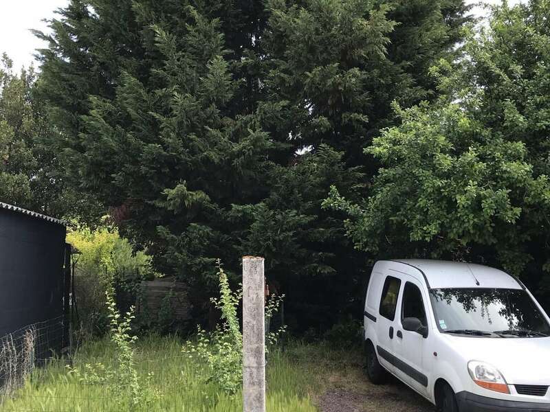 3b04cce3-a00a-44d4-a903-d0e379eb17f720211210-1941110-1qvz0t6