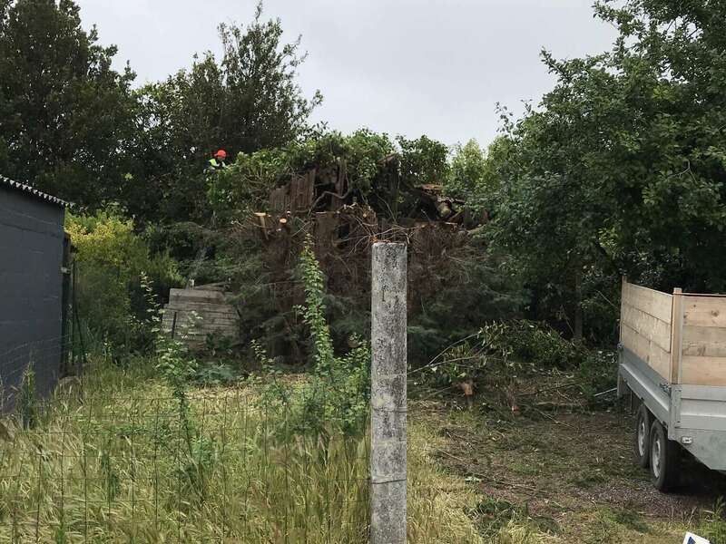 66248850-9b02-4c39-922b-4a1dae9a05f220211210-1941110-18cyjkk