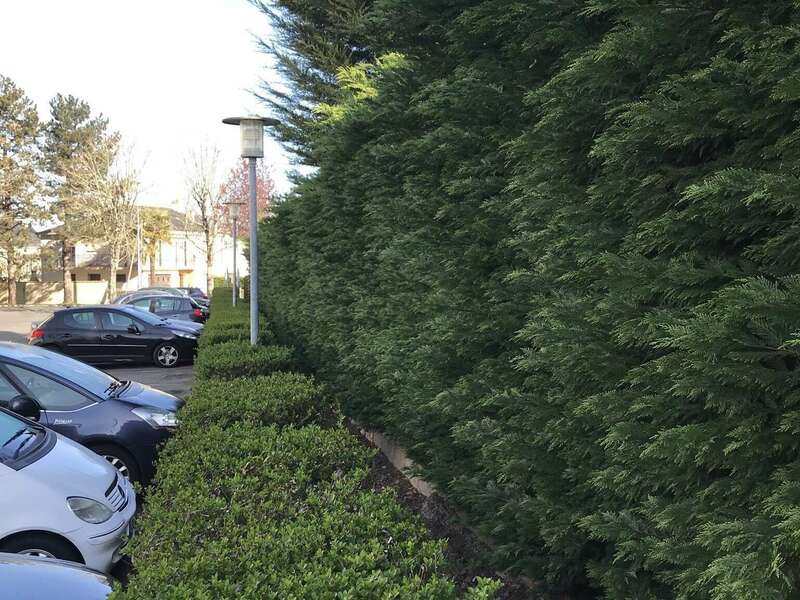 46d0fa76-75e5-4cac-8caf-d52f7cd6d90720211210-1941110-v5fecm