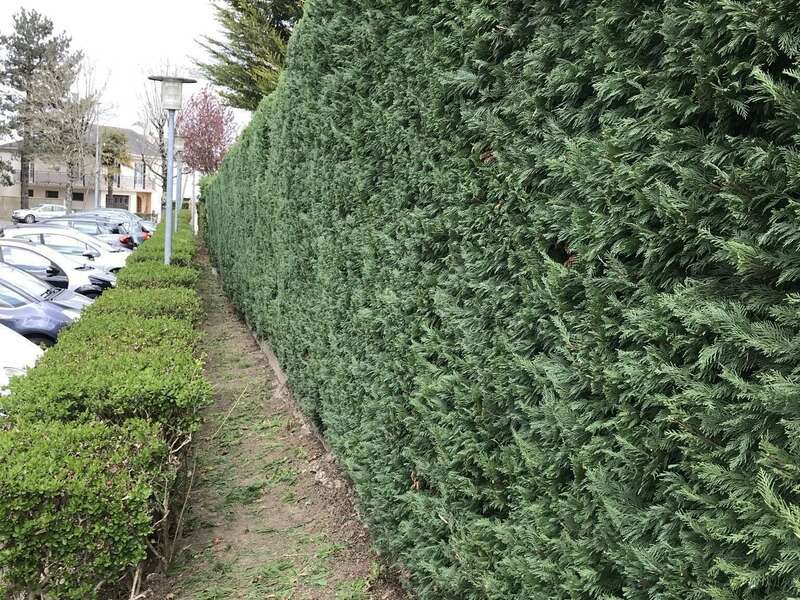 26ba6266-1ffa-49d0-9b57-85be632d664320211210-1941110-1ikevss