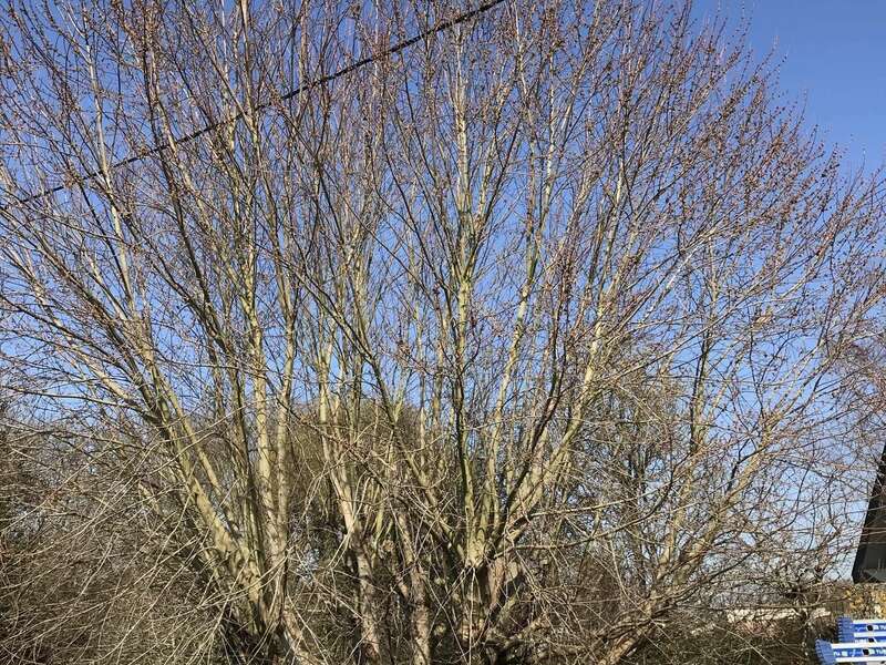 e9f6ad0e-a881-4991-9989-1d31778681e820211210-1941110-10vzy8l