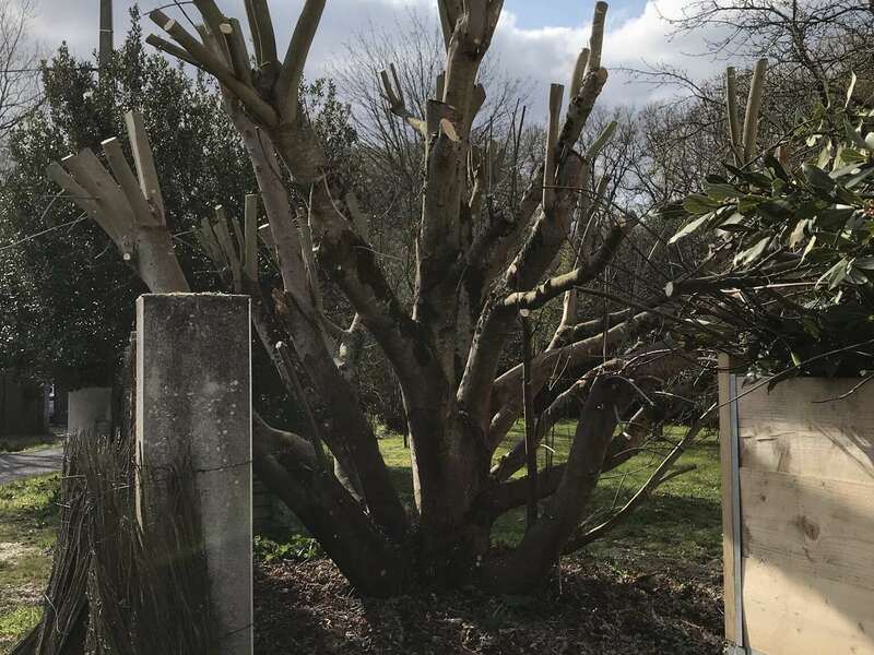 0fdd9b84-1033-4c98-82e0-54faa7d8df6020211210-1941110-15no81m