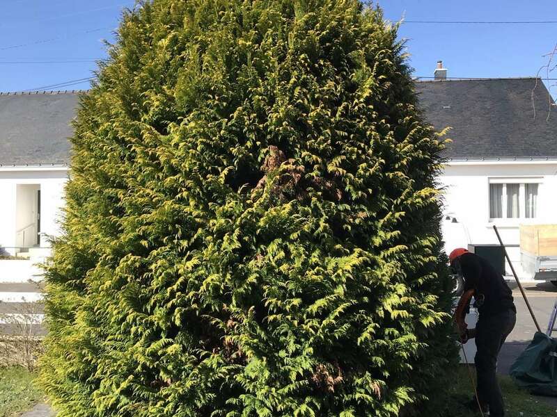 858e24e9-03bf-4caf-a022-9a2463c2be4820211210-1941110-1vjxbgv