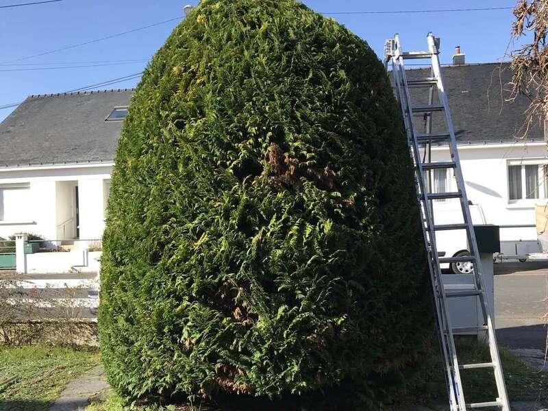 e2c431b2-a091-478f-8bdf-968ea6edb20c20211210-1941110-g2mzlx