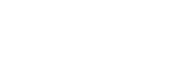GLOBE CLEANER