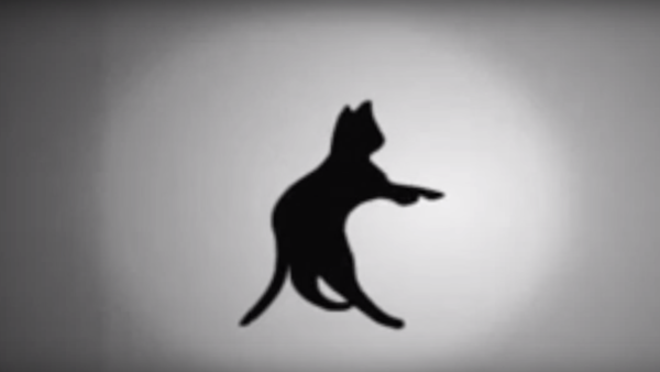 Dans quel sens tourne le chat ? Et la femme ? (Cerveau gauche ou droit ?)