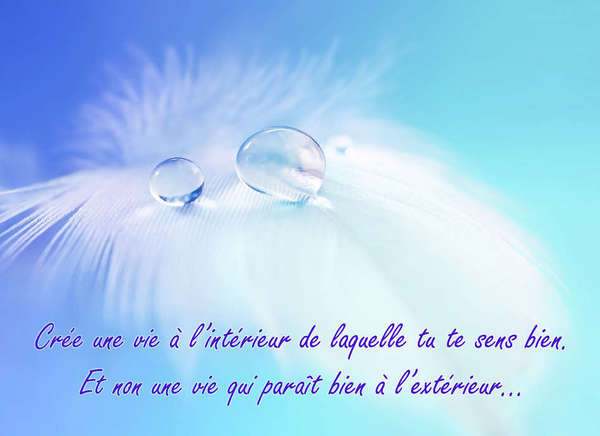 voeux