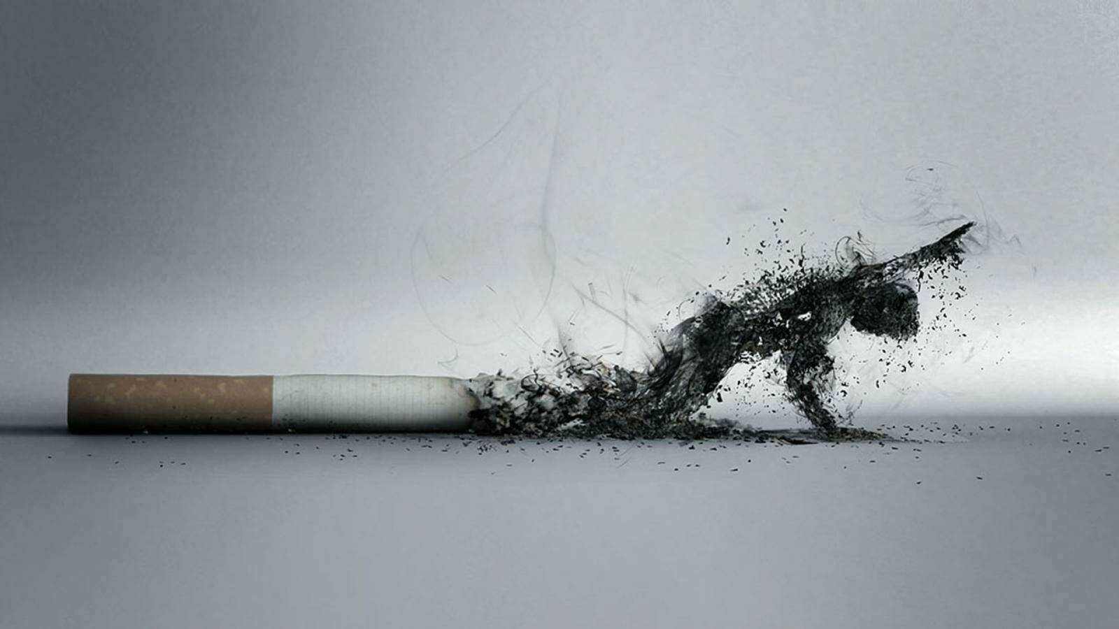 elfbar nachfüll pod läuft aus Le point sur la cigarette électronique comme outil de réduction des  dommages liés au tabagisme main image 1