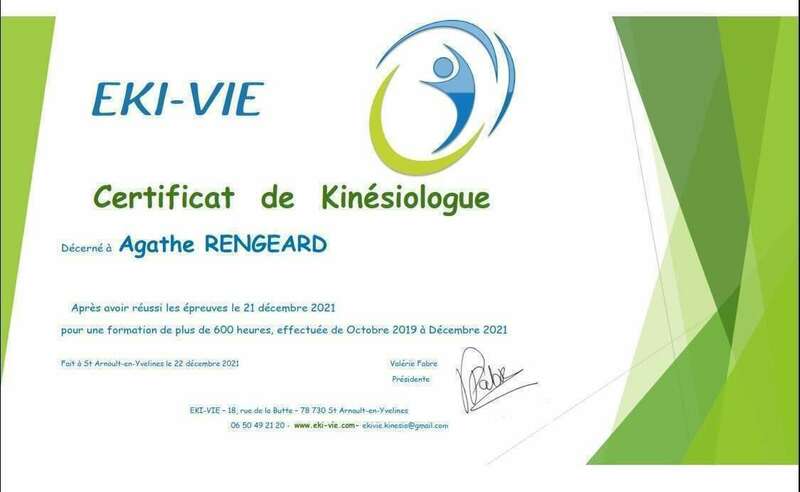certificat_kinesiologie_ar_-_image