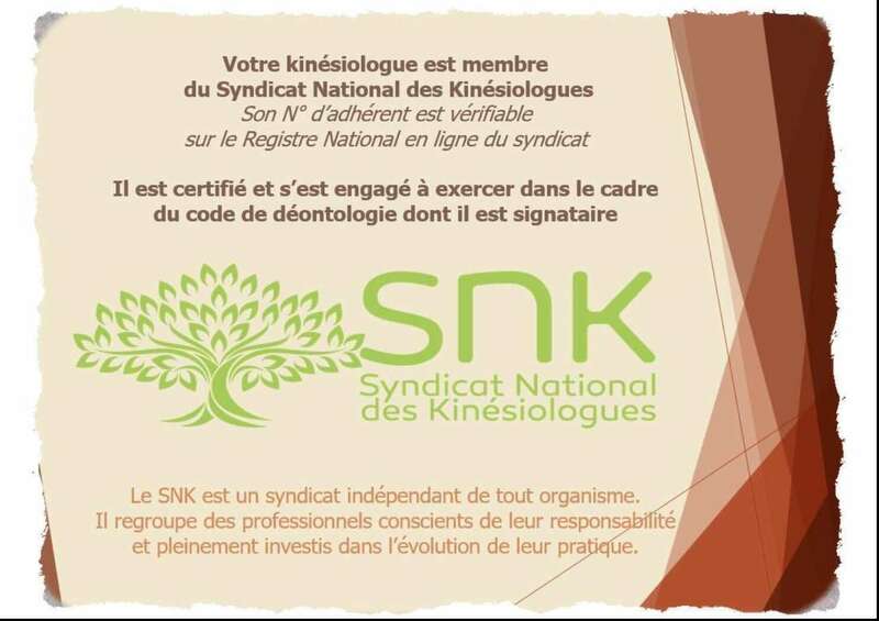 adhesion_snk_ar_image