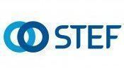 STEF