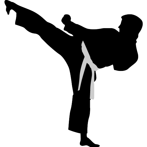 karate sport osteopathe proosteo combat